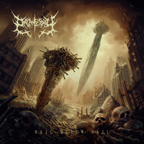 Organectomy : Nail Below Nail